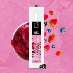 Sorbet Fruits Rouges - REFILL STATION