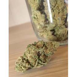 CBD Moby Dick - FLEUR DE...