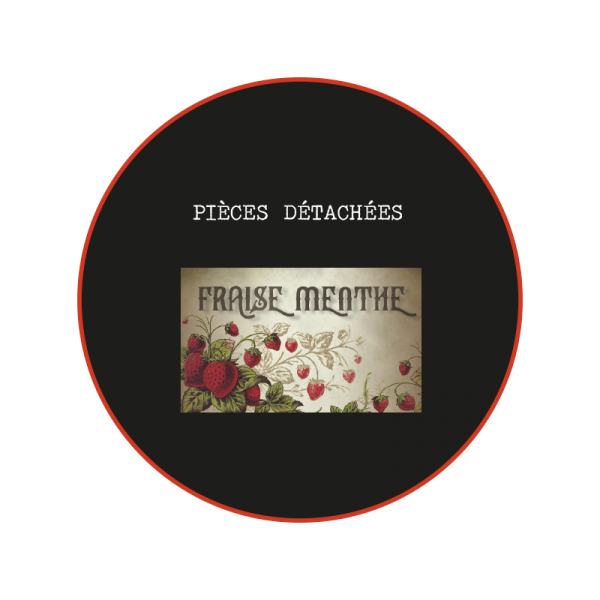 Fraise Menthe Mécanique des fluides Refill Station Fraise Menthe Mécanique des fluides Refill Station