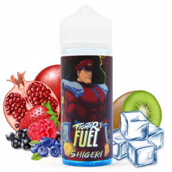 Shigery - FIGHTER FUEL
