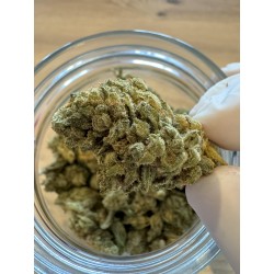 CBD Cali Gold - FLEUR DE...