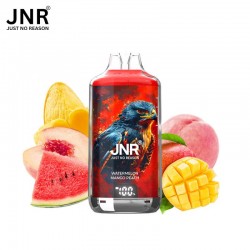 Watermelon Mango Peach - JNR FALCON X