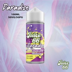 Lemon Passionfruit Blueberry 100 ml - JUICE 66